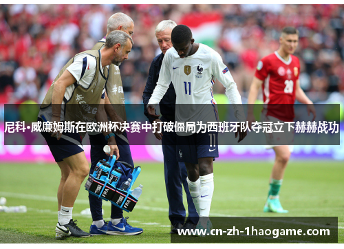 尼科·威廉姆斯在欧洲杯决赛中打破僵局为西班牙队夺冠立下赫赫战功 尼科·威廉姆斯在欧洲杯决赛中打破僵局为西班牙队夺冠立下赫赫战功